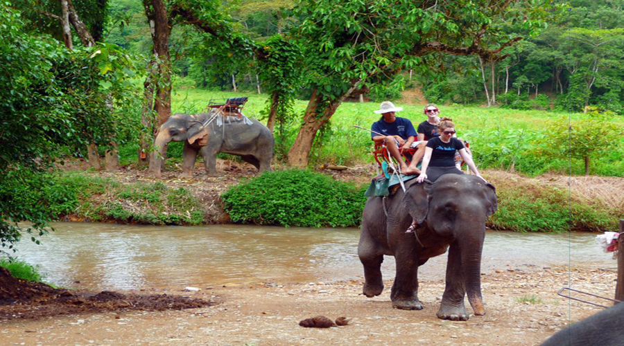 Khao Lak Safari Tour