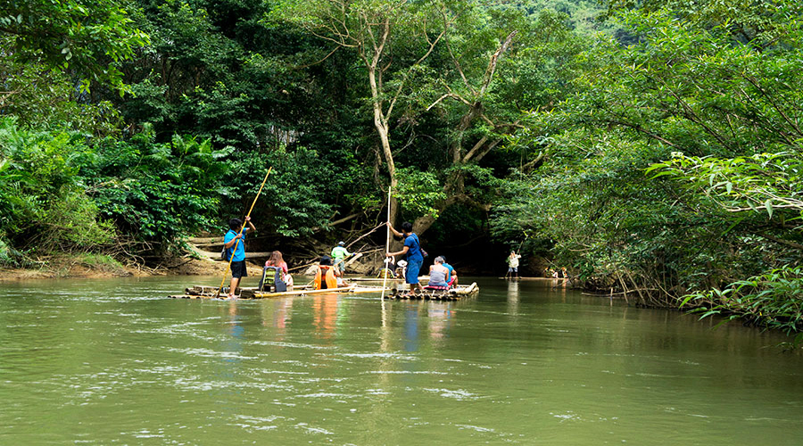 Khao Sok Safari Tour