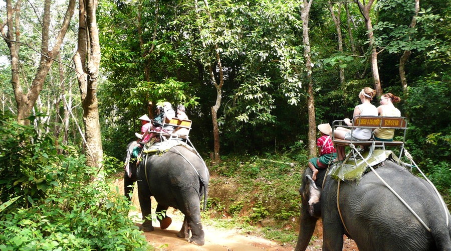 Khao Sok Safari Tour