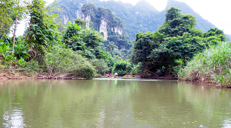 Khao Sok Safari Tour