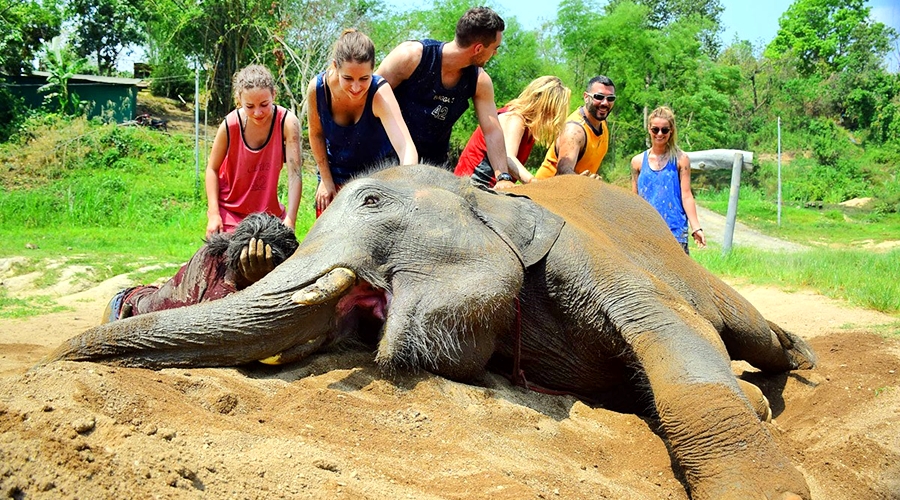 Whitewater Rafting Elephant Care